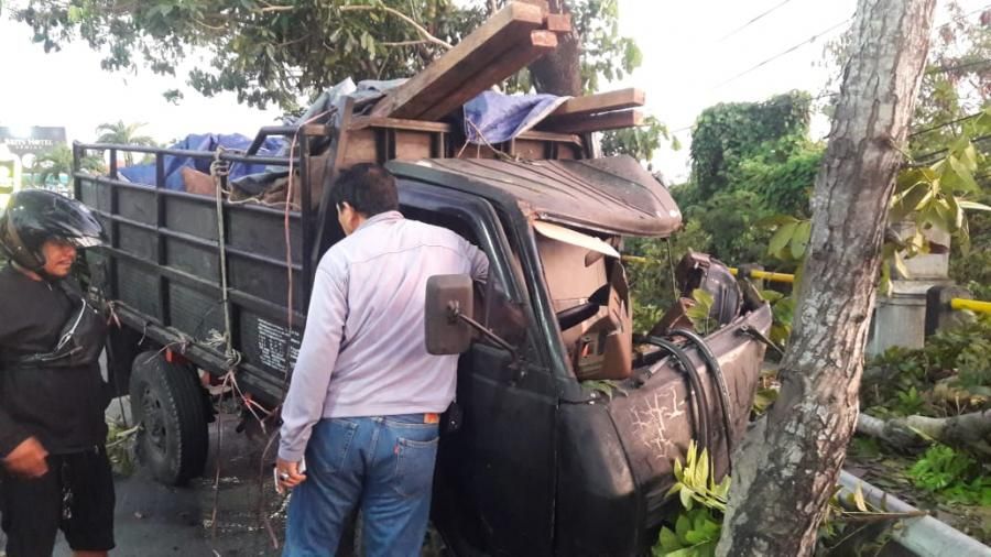 podiumnews.com-Truk Selundupkan Penyu Ringsek Tabrak Pohon
